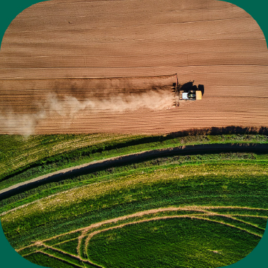 Grain Ecosystem